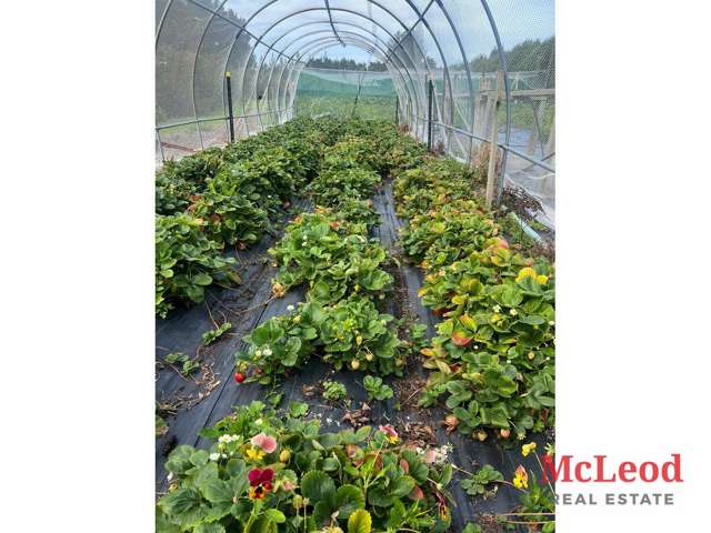 1742 Grahams Road Eiffelton_3