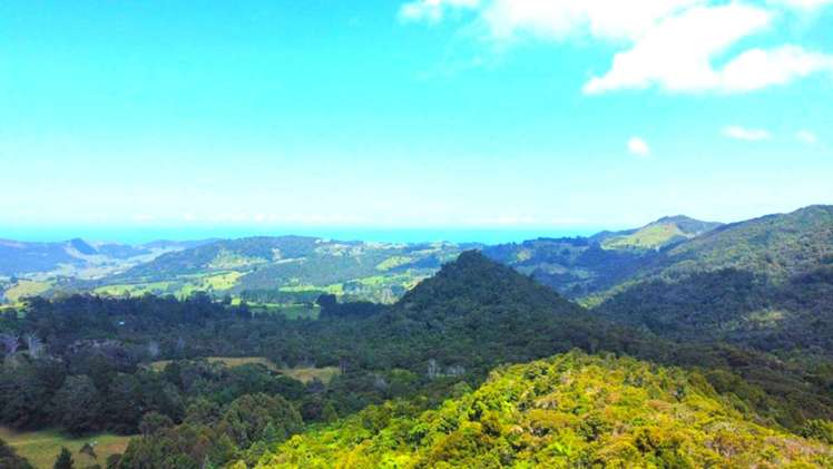 Pinehill Road Omapere_6