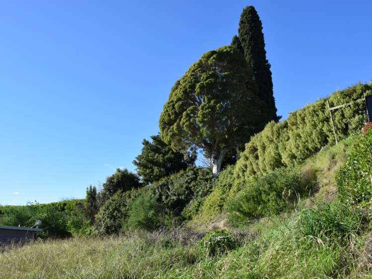 53 Margaret Avenue Mount Albert_6