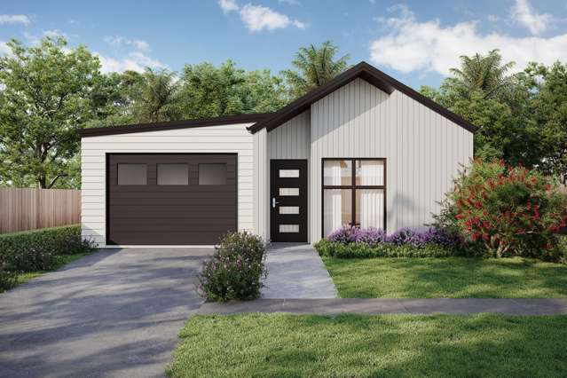 3-24 Te Ara o Wai Mārama Wainuiomata_4