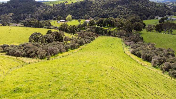 608b West Coast Road Makarau_12