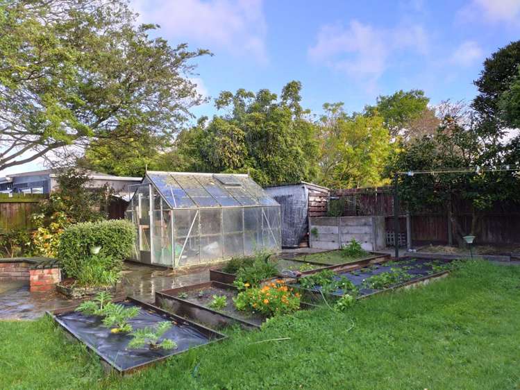 37 Burwood Road Burwood_22