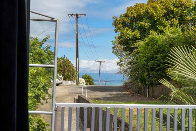 89 Chamberlain Street Tahunanui_2