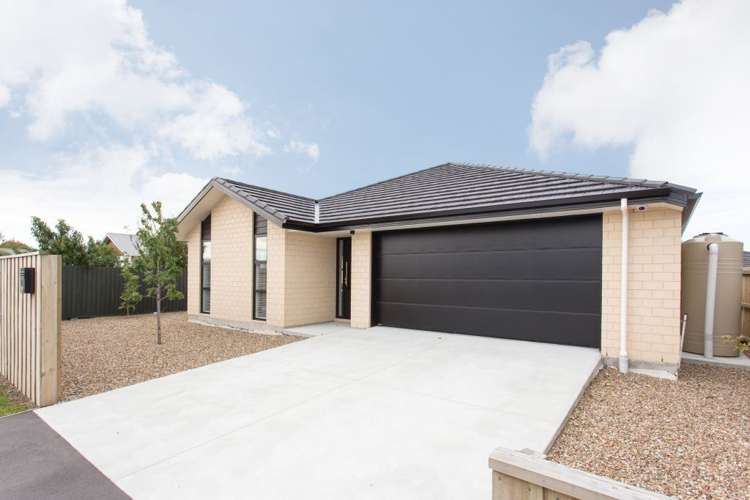 256 Lyttelton Street Spreydon_10