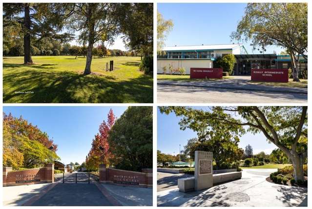 6 Bond Street Springlands_3