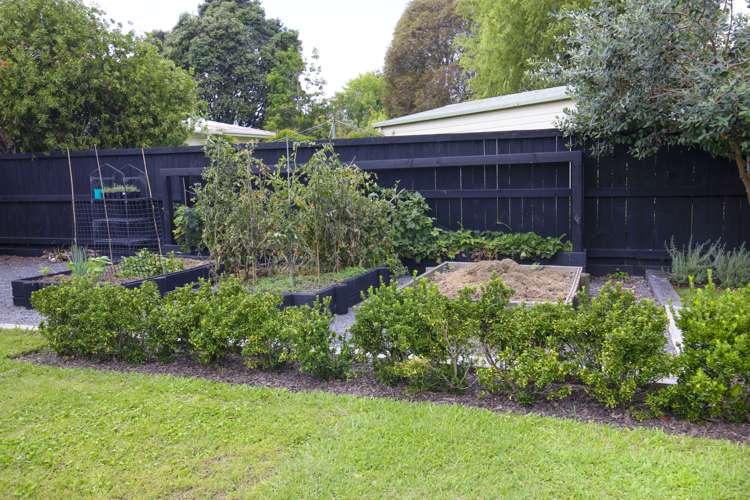 9 Sheehan Street Bay View_8