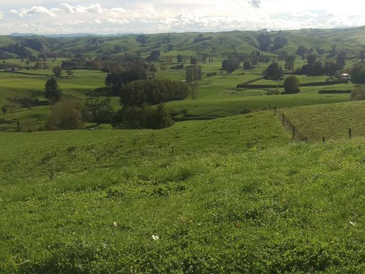 648 Scotsman Valley Road Tauwhare_11