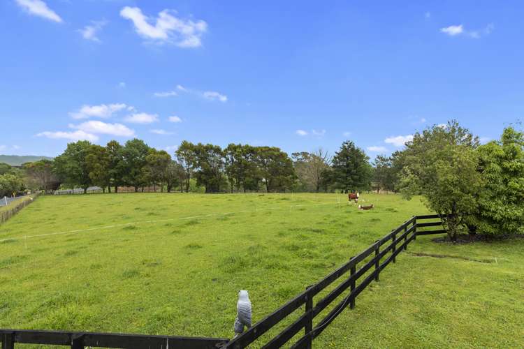 7 Lockerbie Lane Whatawhata_26