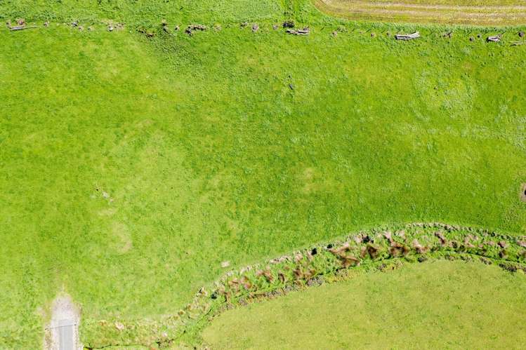 7104 South Road Warea_7