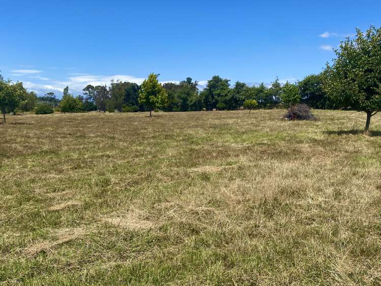 11 Horton Road Tasman_21