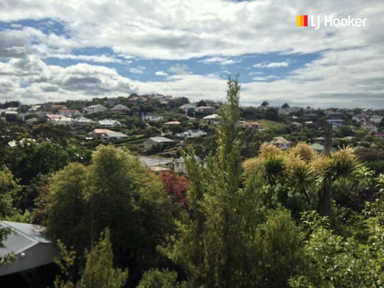 37 Aotea Street Tainui_13