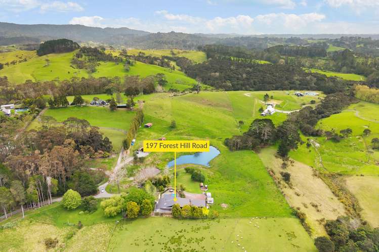 197 Forest Hill Road Waiatarua_32