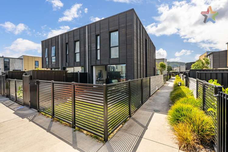 6 Te Ara O Paetutu Petone_21