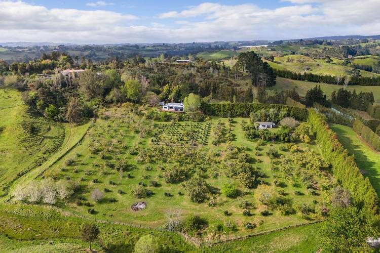 262A Work Road Katikati_26