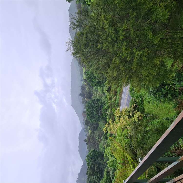 20 Woodstock Avenue Karangahake_22