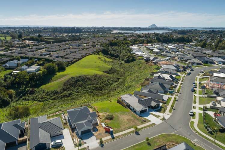 34 Hass Drive Ohauiti_3
