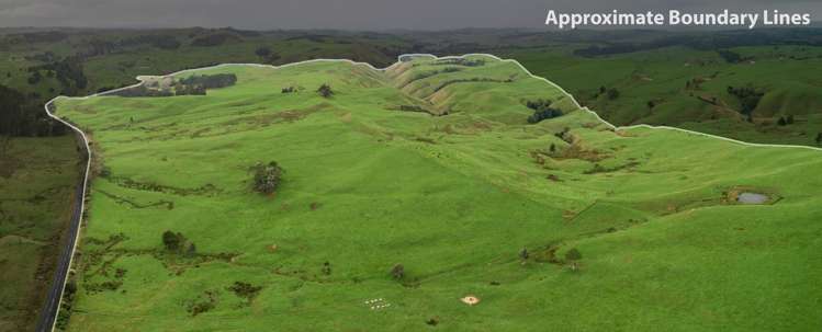 401 Waikaretu Valley Road Glen Murray_18