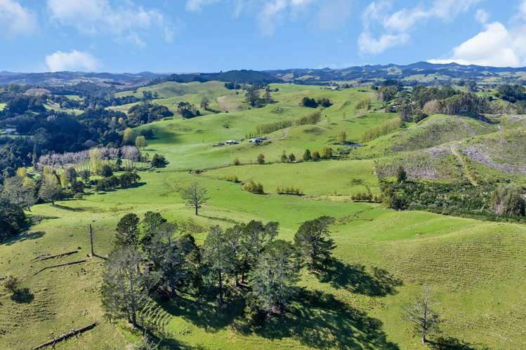 Lot 2 Adams Road Glenbervie_17
