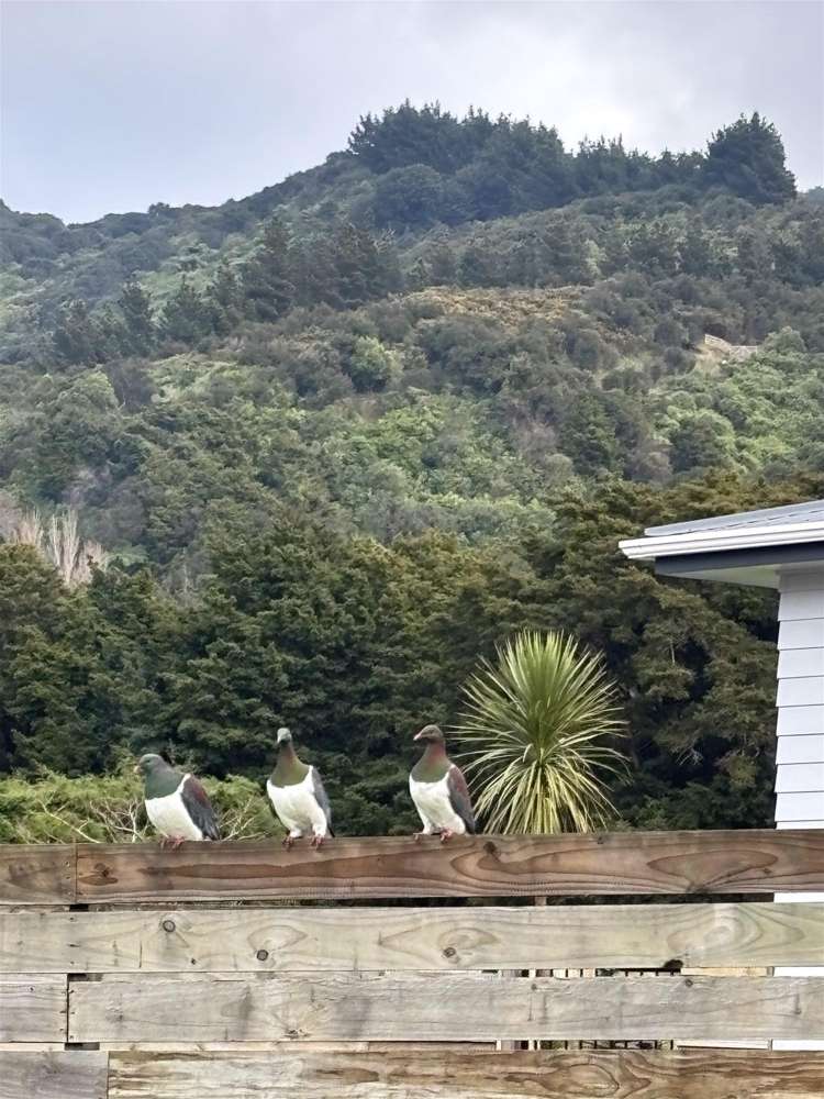 121 Watt Street Featherston_10