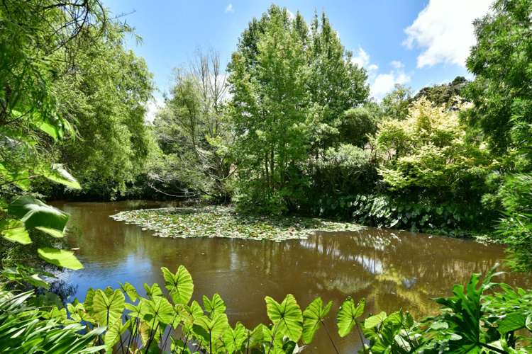 3008 Kaipara Coast Highway Glorit_21