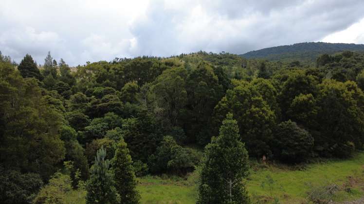453 Wekaweka Road Waimamaku_8