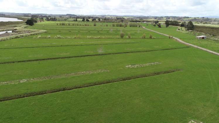 403c Kumi Road Awanui_10