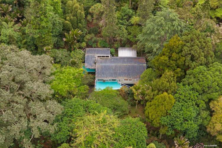 20 Takahe Road Titirangi_10