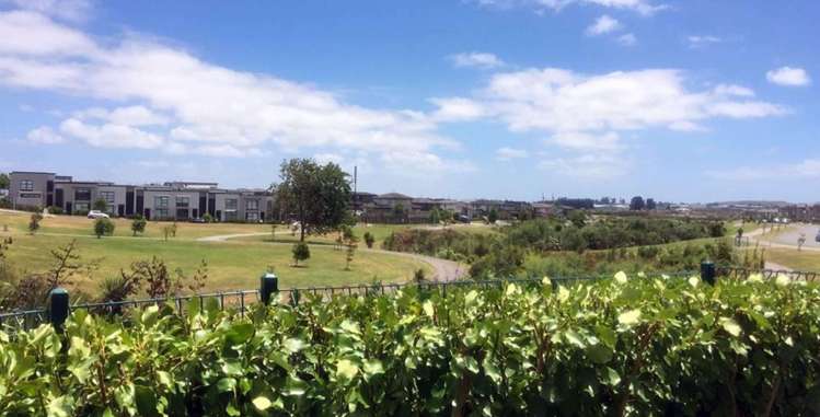 63 killarney drive Flat Bush_13