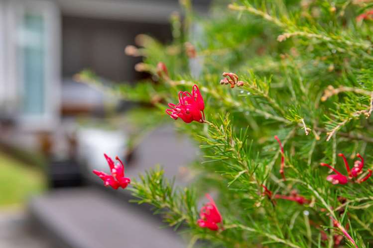 163 Dip Road Kamo_24