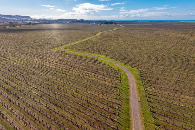 787 Seaview Road Seddon_5