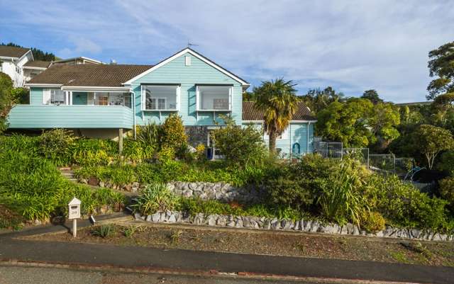 20 Malvern Avenue Atawhai_2