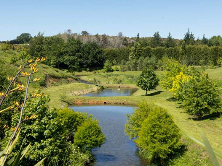 94a Kauri Point Road Hauraki Surrounds_5