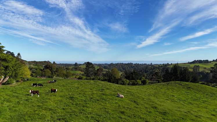 685 Mataro Road Onaero_21