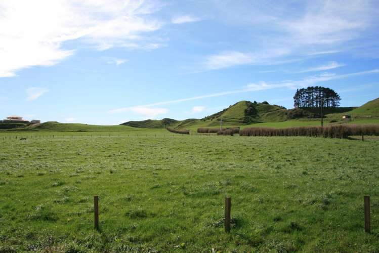 0n Hungers Road Pukengahu_2