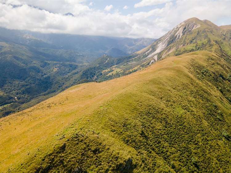 1178 Puhi Puhi Road Puhi Puhi_18