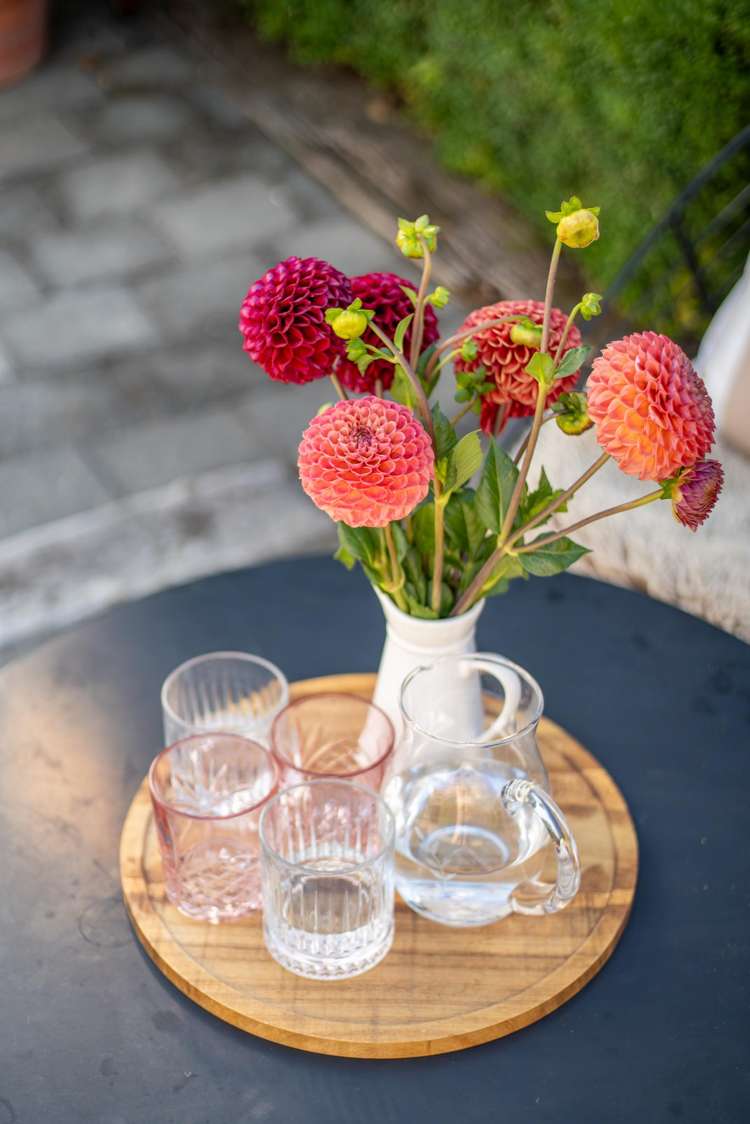 1/6 St Martins Road St Martins_17