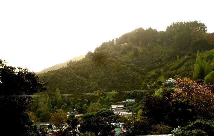 27 Seaview Avenue Te Puru_26