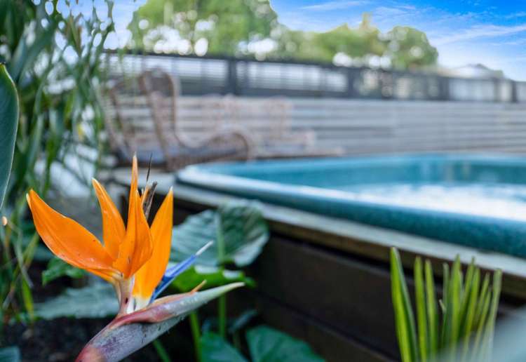 11B Paterson Street Mount Maunganui_15