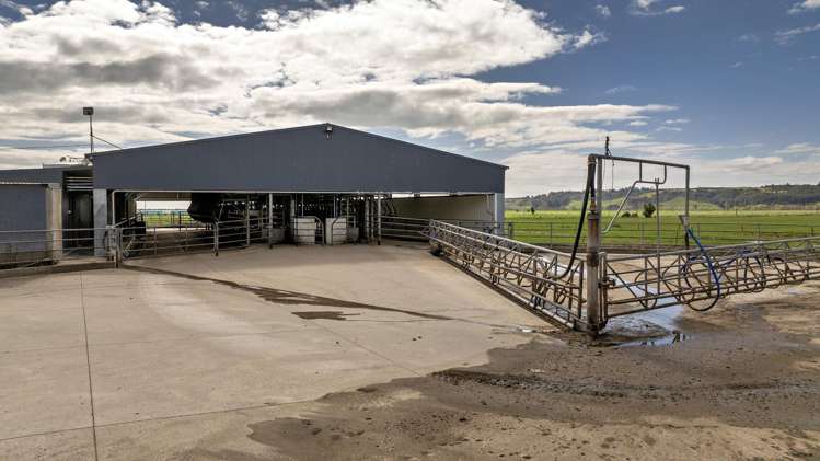 Queens Farm, 16 McGinley Road Opotiki_4