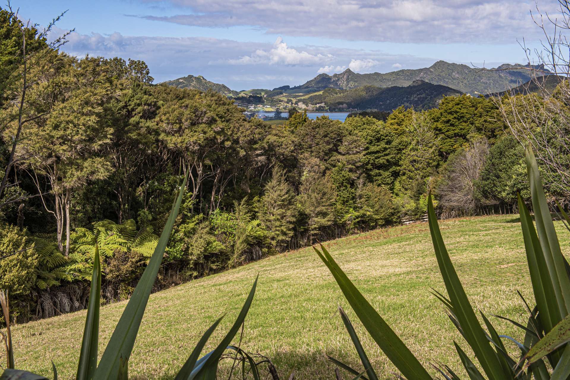 56 Te Rongo Road Parua Bay_0