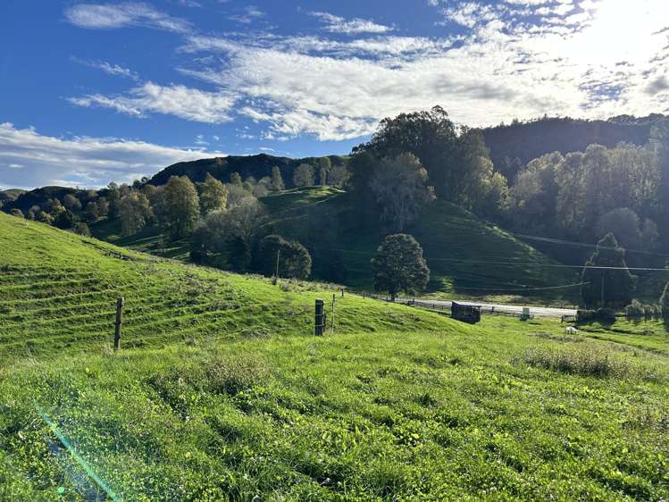 1/627 Waitomo Valley Road_2