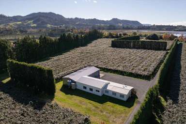 115 Tuapiro Road_2