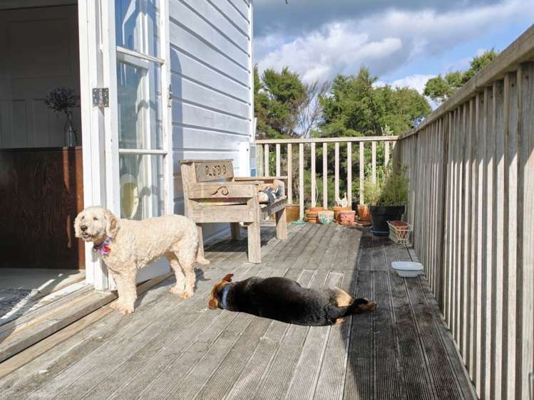 125 Orira Road Umawera_8