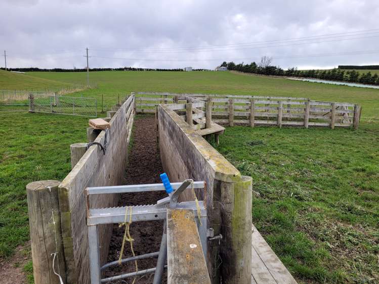 246 Tokarahi-Ngapara Road Five Forks and Surrounds_15