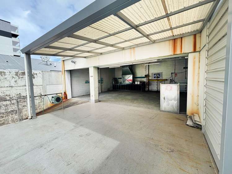 35 Randolph Street Eden Terrace_10