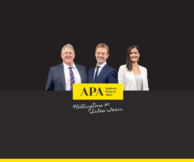 92 Majoribanks Street Mount Victoria_14