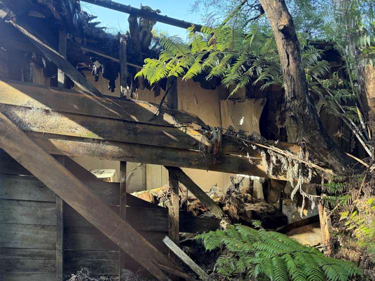 328 Blind Bay Road Great Barrier Island (Aotea Island)_10