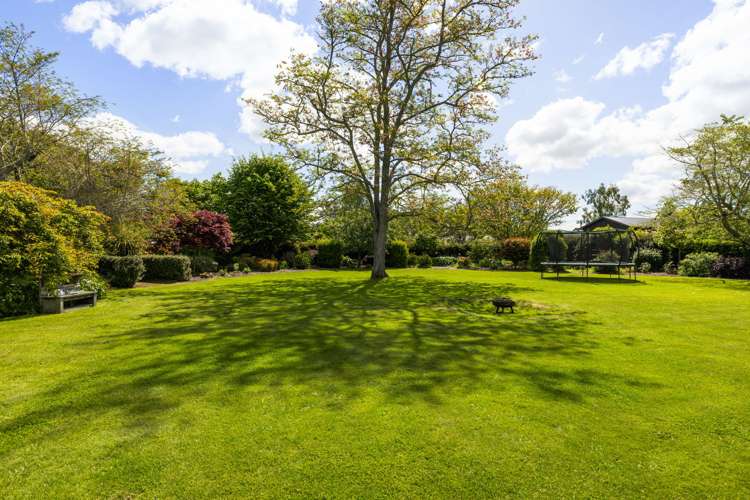 36 Roto-O-Rangi Road Cambridge_12