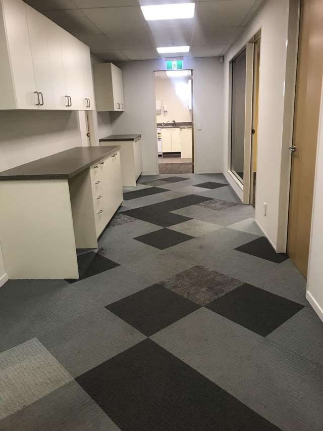 117 Riccarton Road Riccarton_3