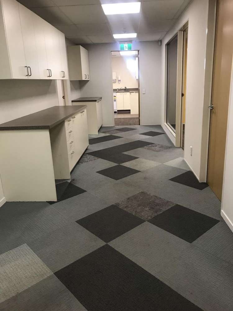 117 Riccarton Road Riccarton_3